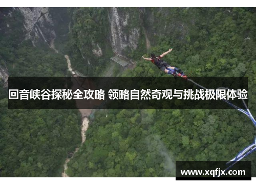 回音峡谷探秘全攻略 领略自然奇观与挑战极限体验 回音峡谷探秘全攻略 领略自然奇观与挑战极限体验